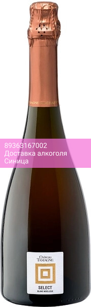Игристое вино "Chateau Tamagne" Select Blanc Semi-sweet