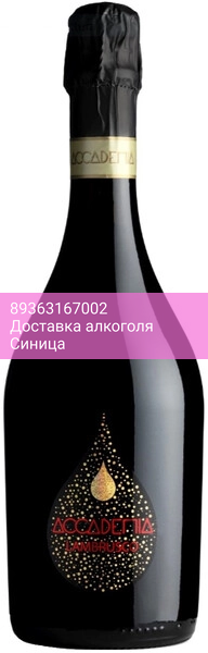 Игристое вино Bottega, "Accademia" Lambrusco Rosso dell'Emilia IGT