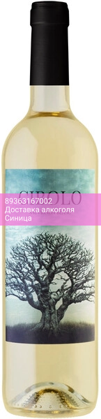 Вино "Cibolo" Sauvignon Blanc, 2024