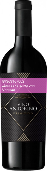 Вино Montedidio, "Vino Antorino" Primitivo, Puglia IGT, 2024